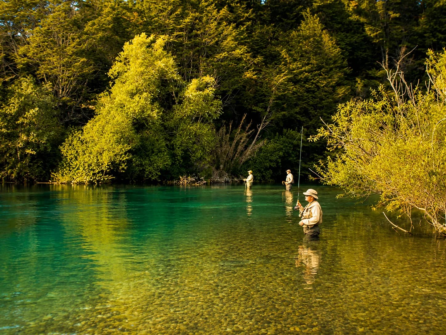 Pesca en el río